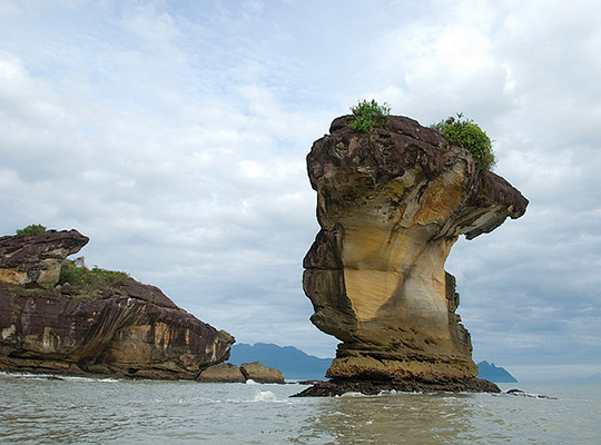 2D1N Bako National Park - Proboscis Monkey
