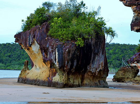 5D4N Kuching + Semenggoh Orang Utan + Traditional Iban Longhouse + Bako National Park